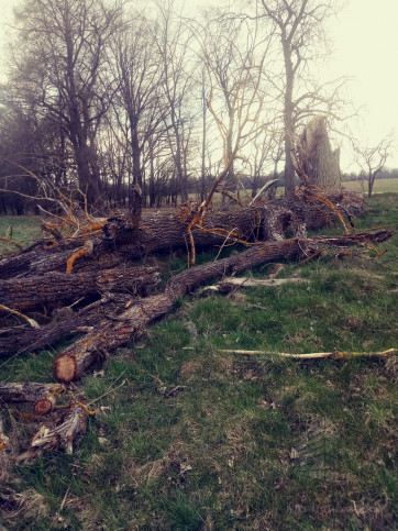 Działka Sprzedaż Łęgi 5