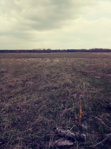 Działka Sprzedaż Łęgi 1