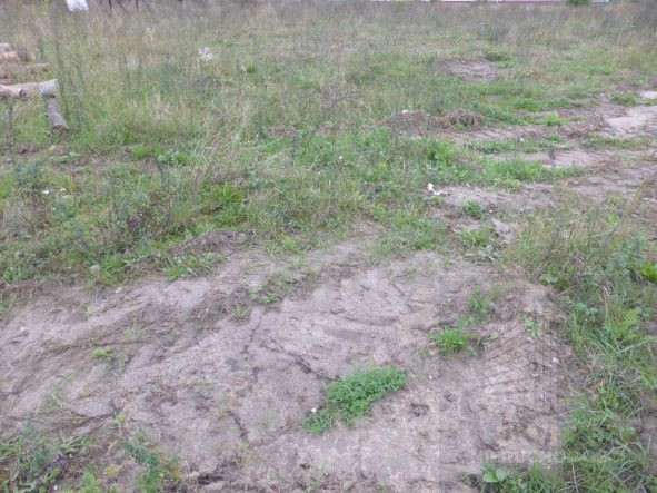 Działka Sprzedaż Kobylanka 2