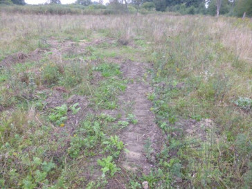 Działka Sprzedaż Kobylanka
