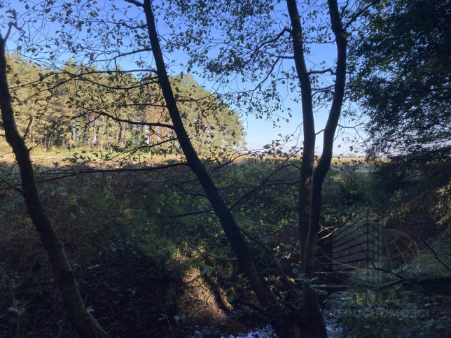 Działka Sprzedaż Krzepocin 8