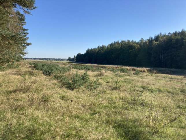 Działka Sprzedaż Krzepocin 1