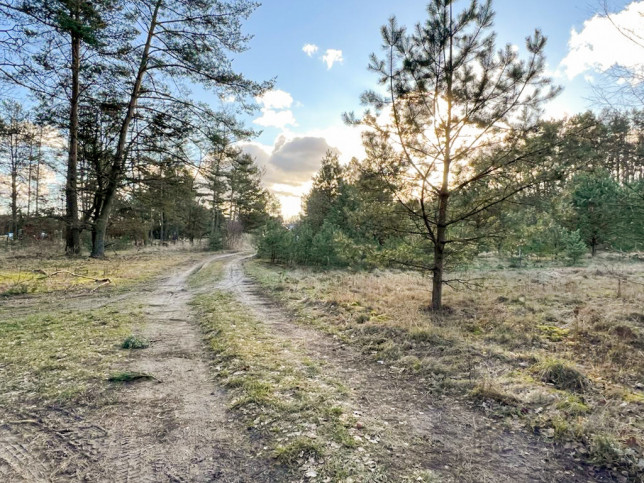 Działka Sprzedaż Babigoszcz 1