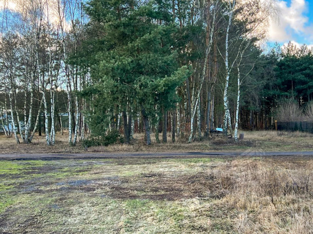 Działka Sprzedaż Babigoszcz 2