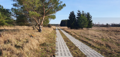 Działka Sprzedaż Białuń