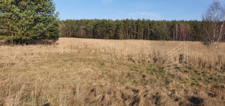 Działka Sprzedaż Białuń 1