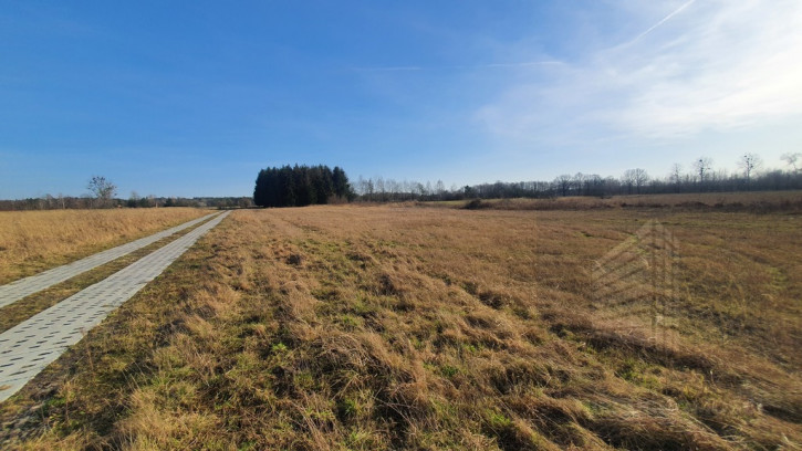 Działka Sprzedaż Białuń 7