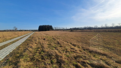 Działka Sprzedaż Białuń