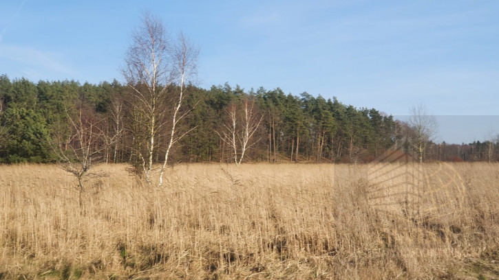 Działka Sprzedaż Białuń 8