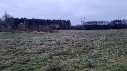 Działka Sprzedaż Stepnica