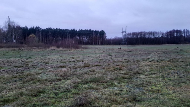 Działka Sprzedaż Stepnica 6