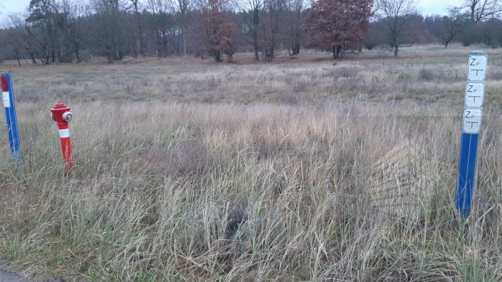 Działka Sprzedaż Stepnica 3