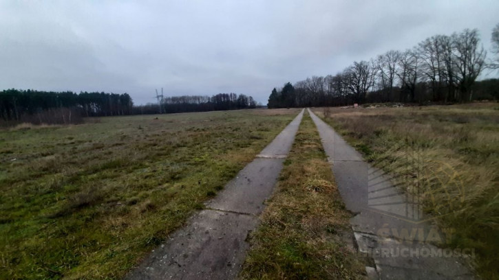 Działka Sprzedaż Stepnica 5