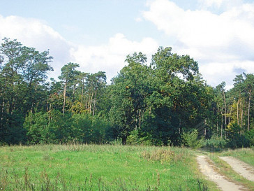 Działka Sprzedaż Kościno