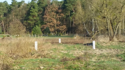Działka Sprzedaż Kościno
