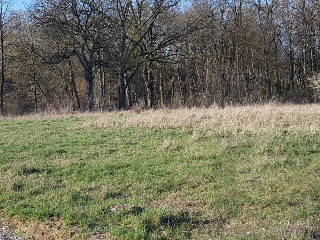 Działka Sprzedaż Kościno 14