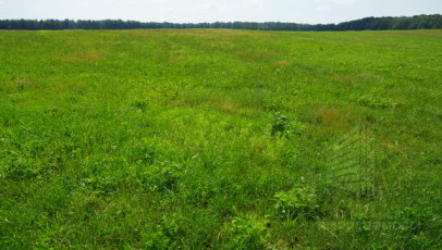 Działka Sprzedaż Bobolice