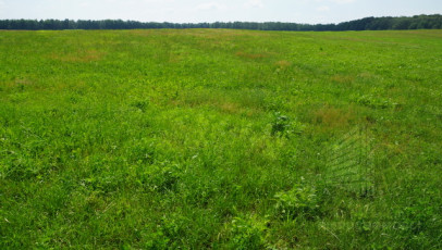 Działka Sprzedaż Bobolice