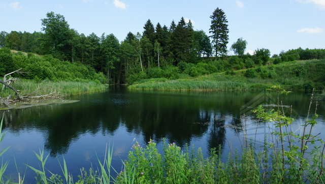 Działka Sprzedaż Bobolice 17