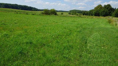 Działka Sprzedaż Bobolice