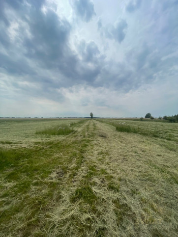 Działka Sprzedaż Wierzbno 14
