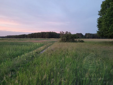 Działka Sprzedaż Lubczyna