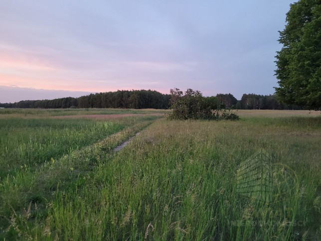 Działka Sprzedaż Lubczyna 1