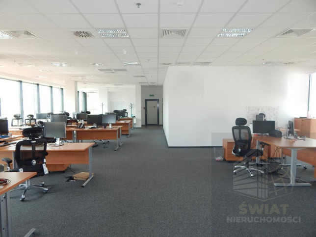 Lokal Wynajem Szczecin Centrum 1