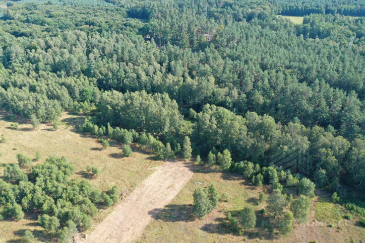Działka Sprzedaż Krzywice 1