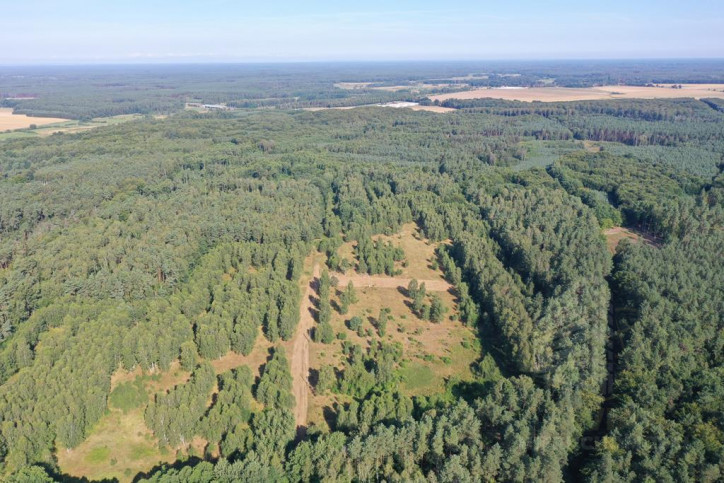Działka Sprzedaż Krzywice 4