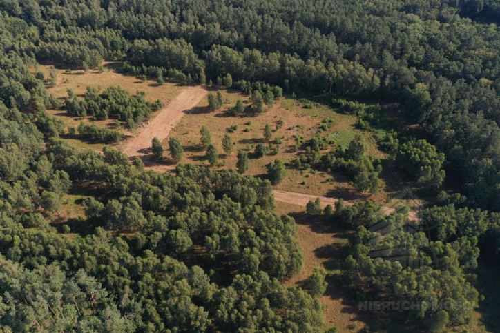 Działka Sprzedaż Krzywice 2