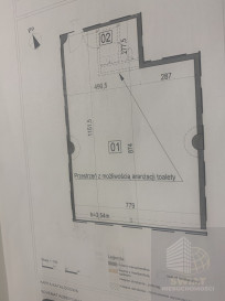 Lokal Wynajem Szczecin Centrum