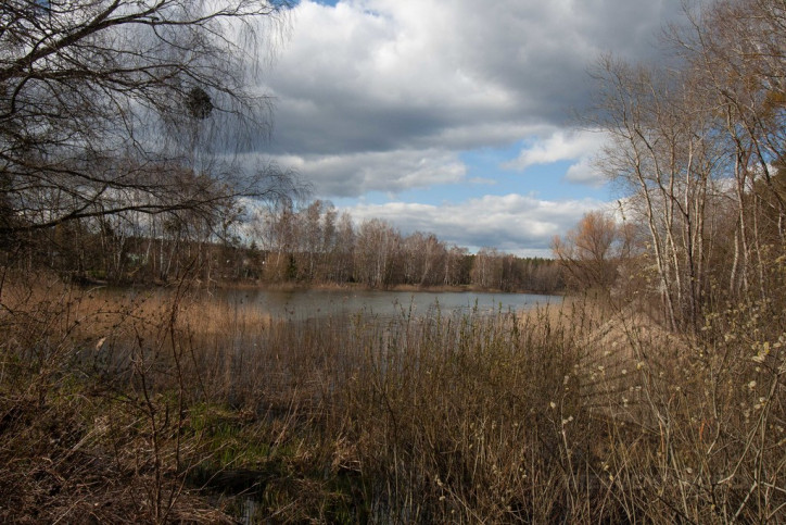Dom Sprzedaż Bartoszewo 19
