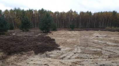Działka Sprzedaż Borzyszewo