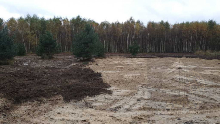 Działka Sprzedaż Borzyszewo 1