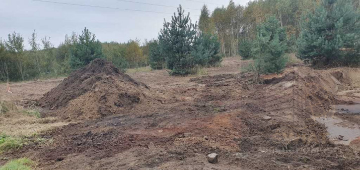 Działka Sprzedaż Borzyszewo 10