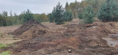 Działka Sprzedaż Borzyszewo