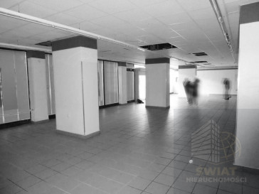 Lokal Wynajem Szczecin Centrum