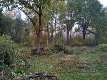 Działka Sprzedaż Grębowo