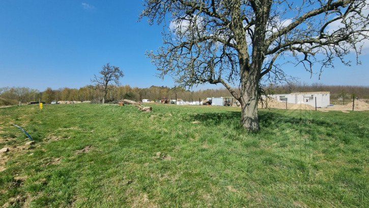 Działka Sprzedaż Szczecin Skolwin 3