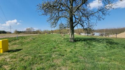 Działka Sprzedaż Szczecin Skolwin