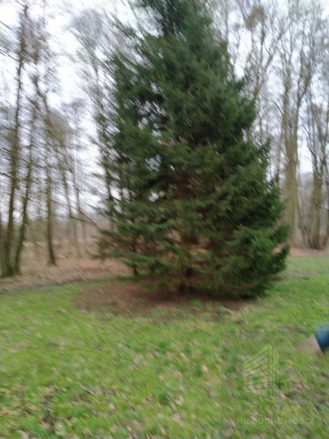 Działka Sprzedaż Rzędziny 12