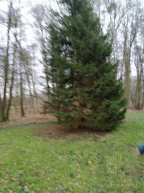 Działka Sprzedaż Rzędziny