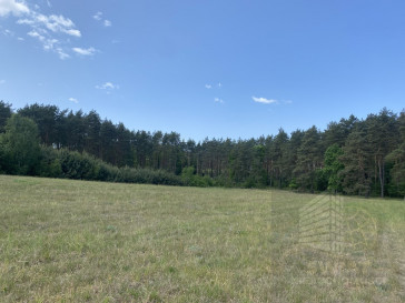Działka Sprzedaż Przybiernów