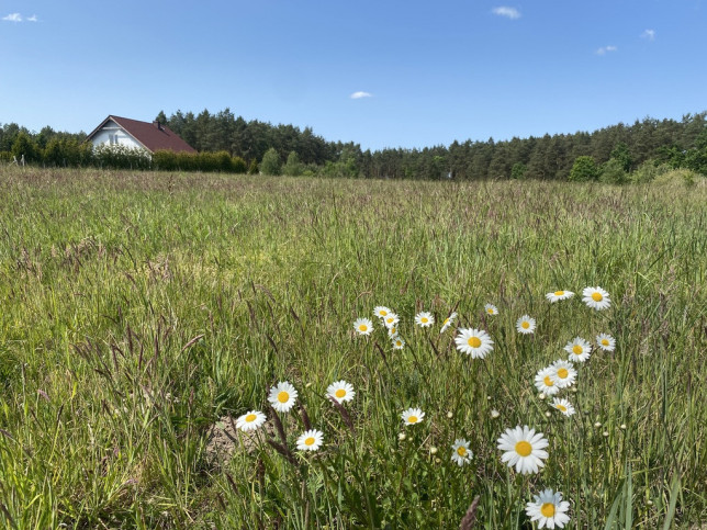 Działka Sprzedaż Przybiernów 2