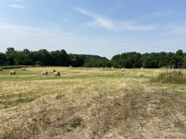 Działka Sprzedaż Glinna 4
