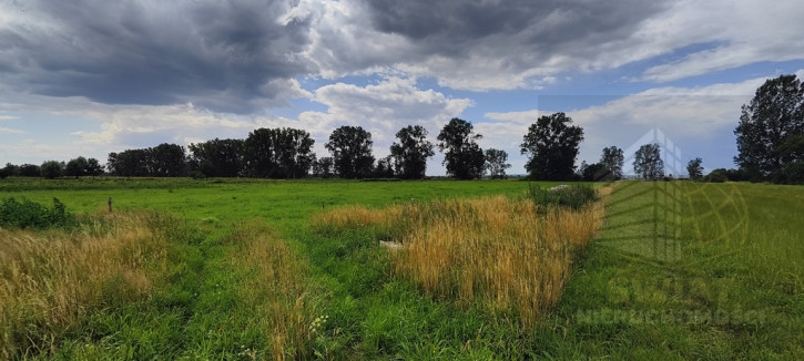 Działka Sprzedaż Rurzyca 2