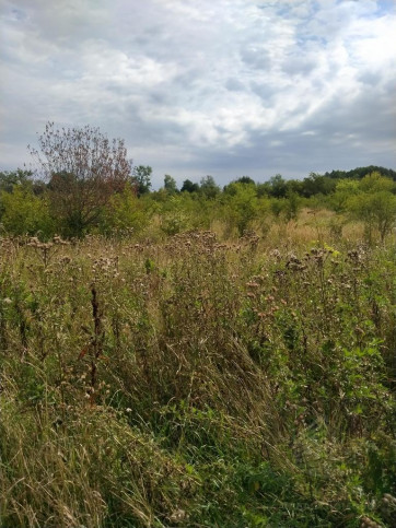Działka Sprzedaż Pyrzyce 1