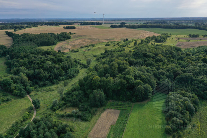 Działka Sprzedaż Prusinowo 2