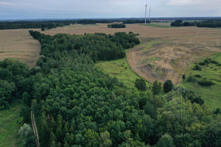Działka Sprzedaż Prusinowo 1